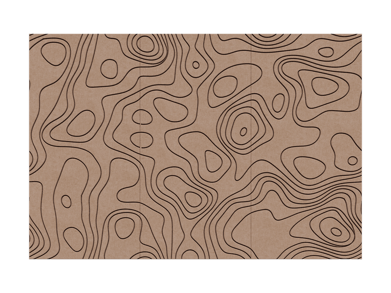 Contour — Camello