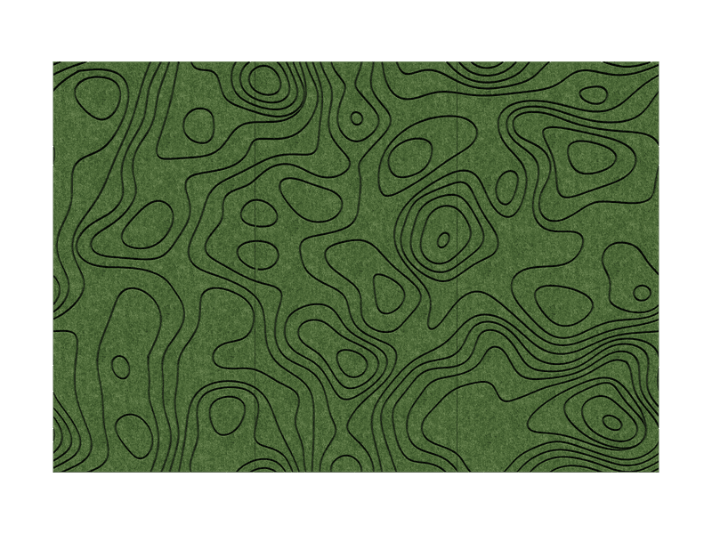 Contour — Alga