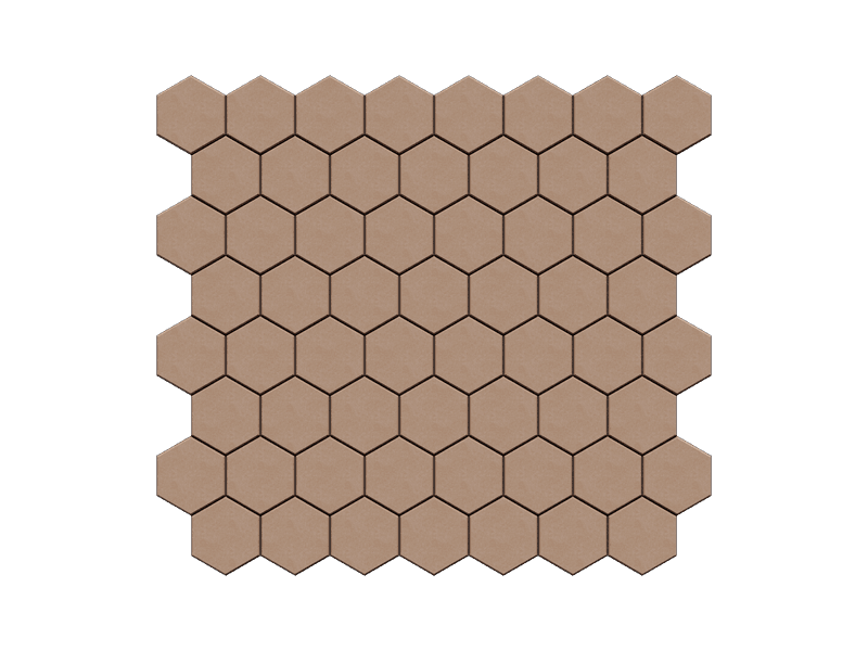 Cell — Camello