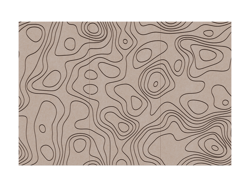 Contour — Arena