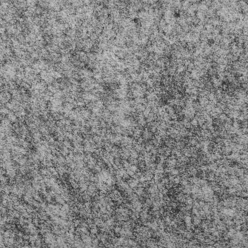 FF59-Graphite Graphite