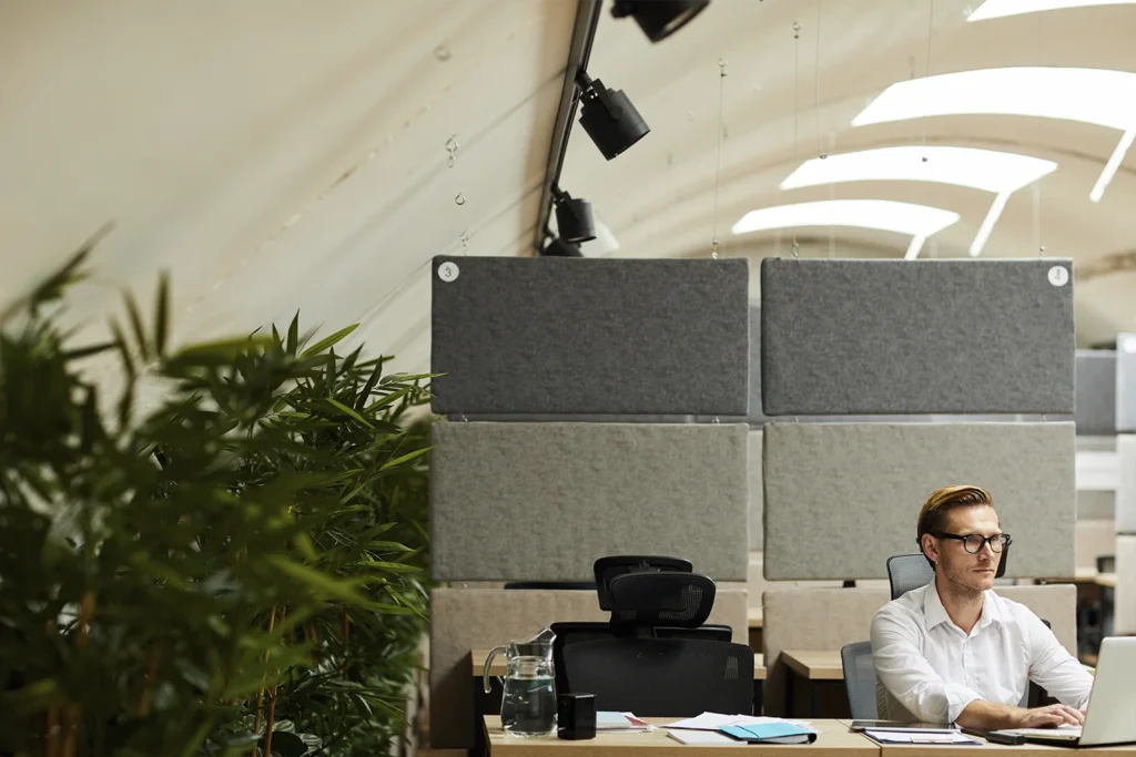 Cómo mejorar la acústica en oficinas abiertas: claves de la acústica arquitectónica aplicada
